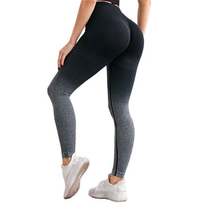 Legging Evagym