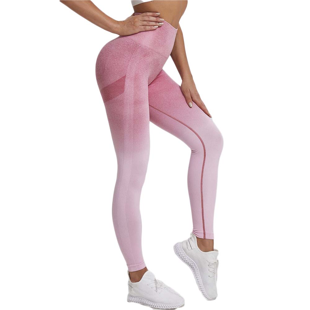 Legging Evagym