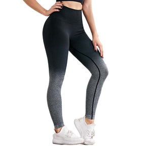 Legging Evagym